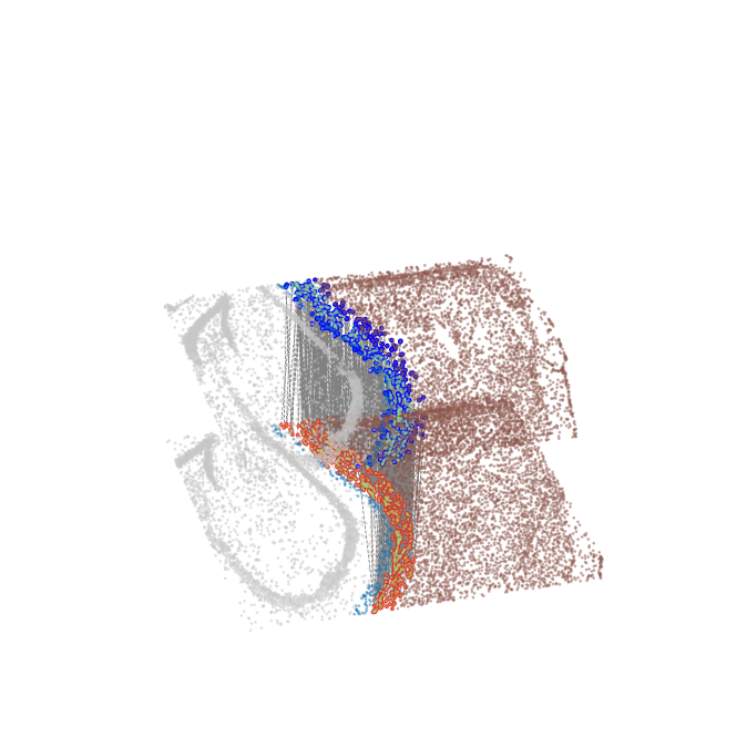 ../_images/Single_Omics_alignment_8months_mouse_brain_align_22_1.png