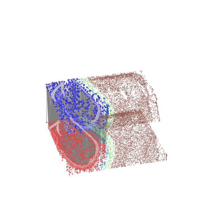 ../_images/Single_Omics_alignment_8months_mouse_brain_align_26_1.png