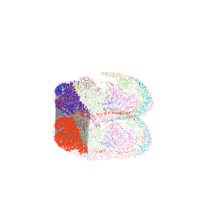 ../_images/Single_Omics_alignment_E15.5_align_18_1.png