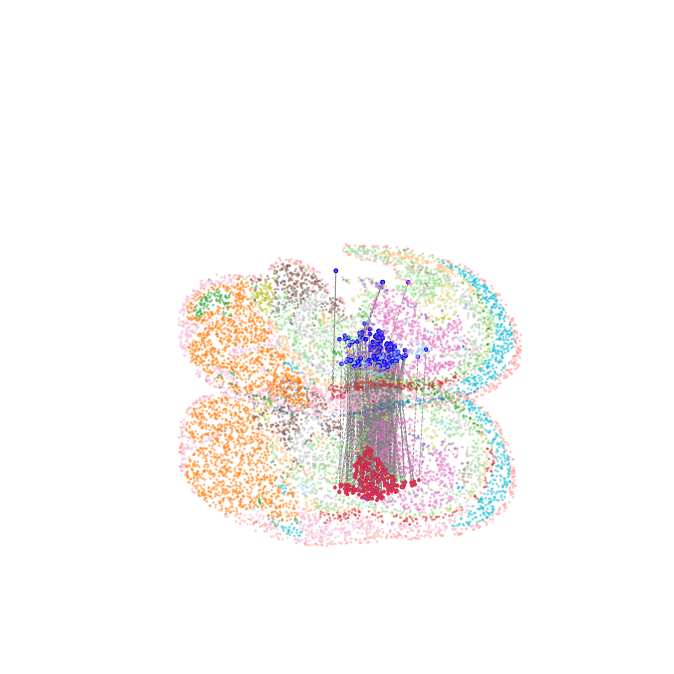 ../_images/Single_Omics_alignment_E15.5_align_23_1.png
