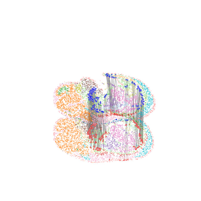 ../_images/Single_Omics_alignment_E15.5_align_25_1.png