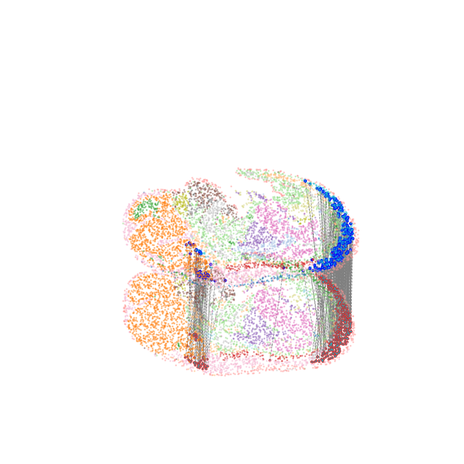 ../_images/Single_Omics_alignment_E15.5_align_27_1.png
