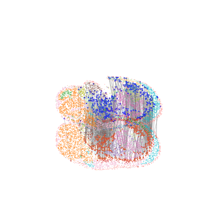 ../_images/Single_Omics_alignment_E15.5_align_29_1.png