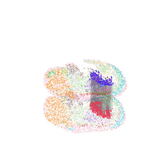 ../_images/Single_Omics_alignment_E15.5_align_31_1.png